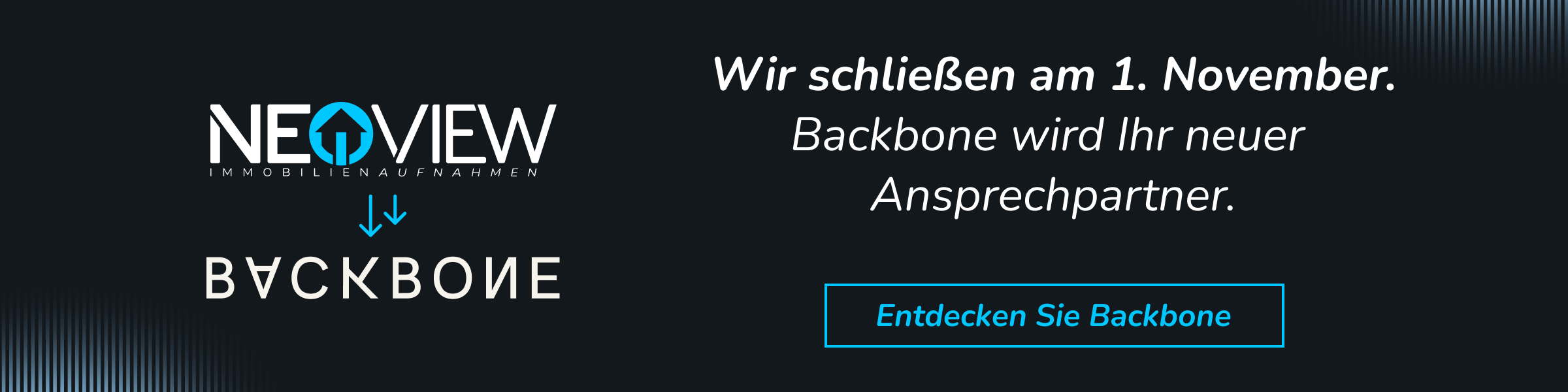 Neoview_Website-Banner-3